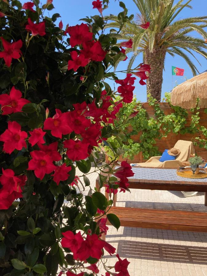 Bico Das Flores Praia de Mira Ngoại thất bức ảnh